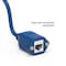 Bestlink Netware Panel-Mount CAT6 Ethernet Cable- 10ft- Blue 100775BL - alternate 3